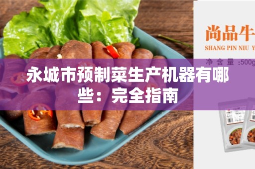永城市预制菜生产机器有哪些：完全指南