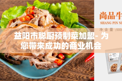 益阳市聪厨预制菜加盟- 为您带来成功的商业机会