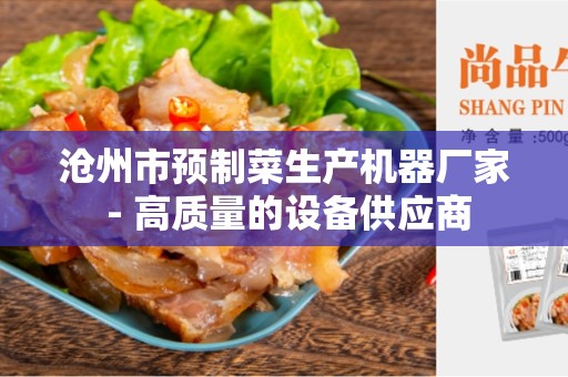 沧州市预制菜生产机器厂家 - 高质量的设备供应商