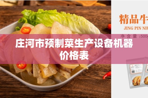 庄河市预制菜生产设备机器价格表