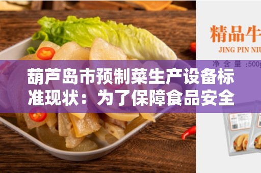 葫芦岛市预制菜生产设备标准现状：为了保障食品安全的重要措施