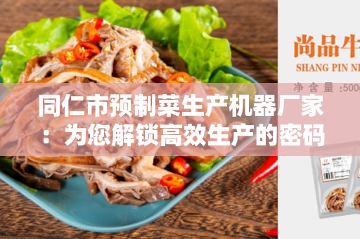 同仁市预制菜生产机器厂家：为您解锁高效生产的密码