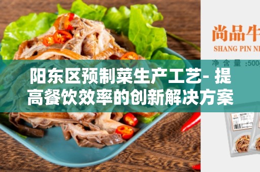 阳东区预制菜生产工艺- 提高餐饮效率的创新解决方案