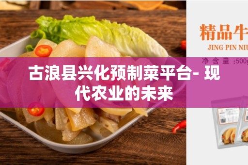 古浪县兴化预制菜平台- 现代农业的未来