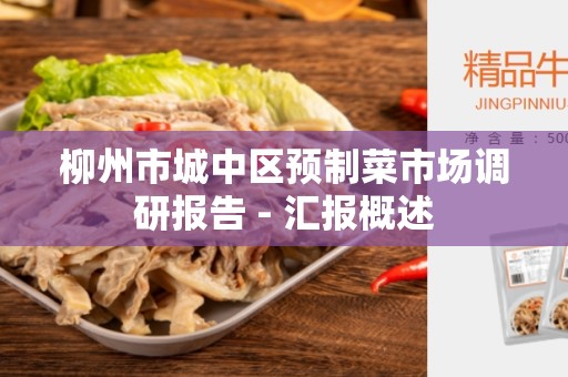 柳州市城中区预制菜市场调研报告 - 汇报概述