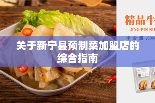 关于新宁县预制菜加盟店的综合指南