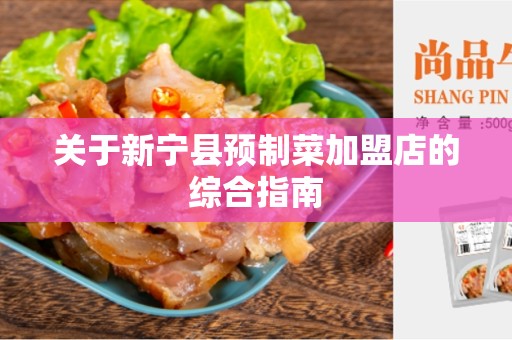 关于新宁县预制菜加盟店的综合指南
