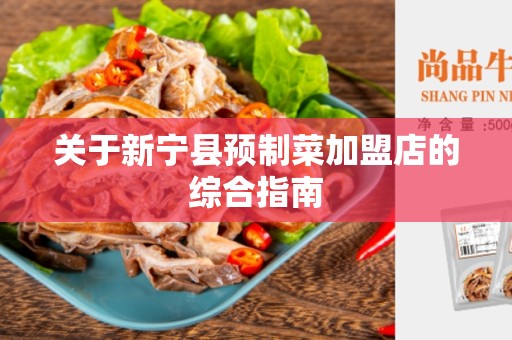 关于新宁县预制菜加盟店的综合指南