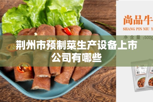 荆州市预制菜生产设备上市公司有哪些
