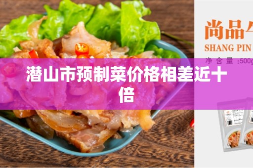 潜山市预制菜价格相差近十倍