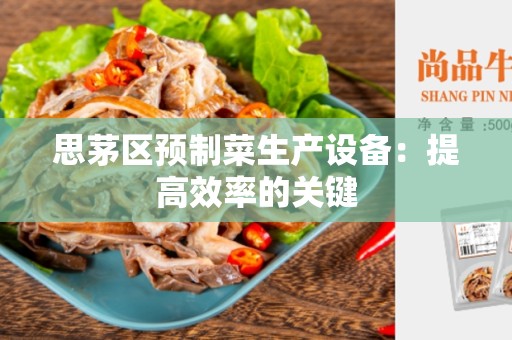 思茅区预制菜生产设备：提高效率的关键