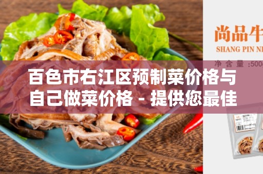 百色市右江区预制菜价格与自己做菜价格 - 提供您最佳选择的比较和优劣势分析