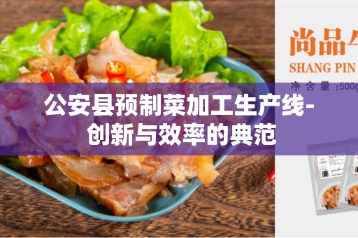 公安县预制菜加工生产线- 创新与效率的典范