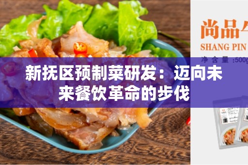新抚区预制菜研发：迈向未来餐饮革命的步伐