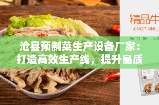 沧县预制菜生产设备厂家：打造高效生产线，提升品质