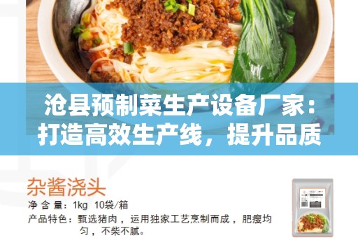 沧县预制菜生产设备厂家：打造高效生产线，提升品质