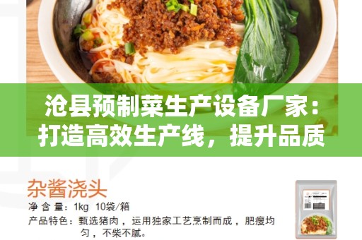 沧县预制菜生产设备厂家：打造高效生产线，提升品质