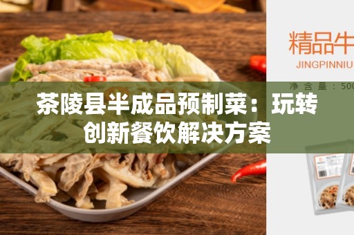 茶陵县半成品预制菜：玩转创新餐饮解决方案