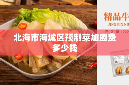 北海市海城区预制菜加盟费多少钱