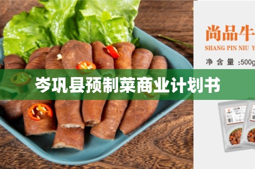 岑巩县预制菜商业计划书