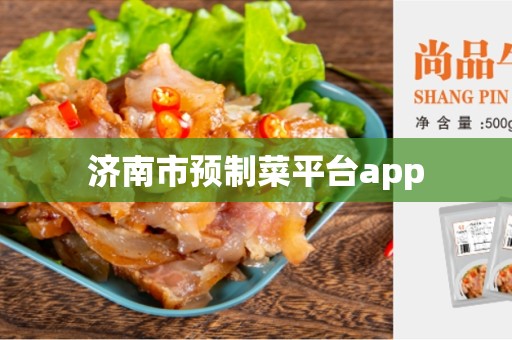 济南市预制菜平台app