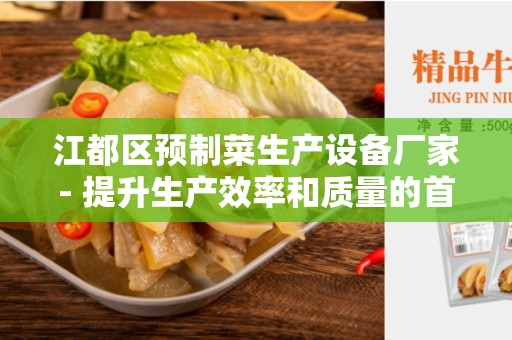 江都区预制菜生产设备厂家- 提升生产效率和质量的首选