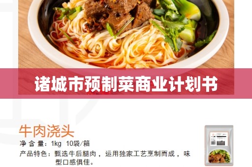 诸城市预制菜商业计划书