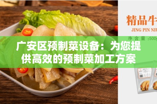 广安区预制菜设备：为您提供高效的预制菜加工方案
