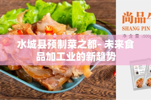 水城县预制菜之都- 未来食品加工业的新趋势