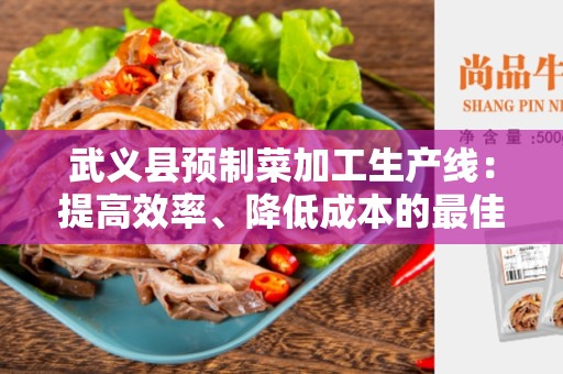 武义县预制菜加工生产线：提高效率、降低成本的最佳选择