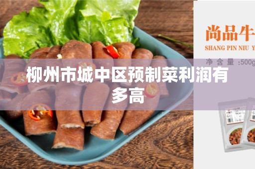 柳州市城中区预制菜利润有多高