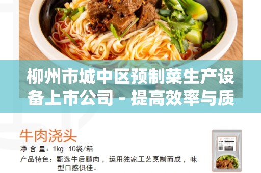 柳州市城中区预制菜生产设备上市公司 - 提高效率与质量的选择