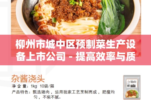 柳州市城中区预制菜生产设备上市公司 - 提高效率与质量的选择