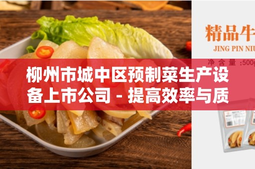 柳州市城中区预制菜生产设备上市公司 - 提高效率与质量的选择