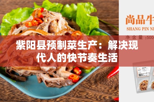 紫阳县预制菜生产：解决现代人的快节奏生活