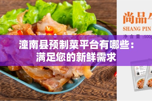 潼南县预制菜平台有哪些：满足您的新鲜需求