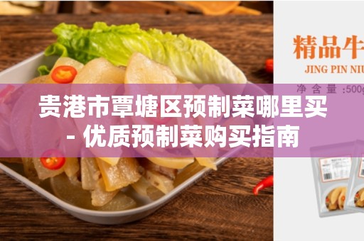 贵港市覃塘区预制菜哪里买- 优质预制菜购买指南