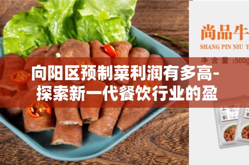 向阳区预制菜利润有多高- 探索新一代餐饮行业的盈利模式