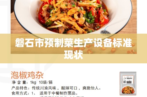 磐石市预制菜生产设备标准现状