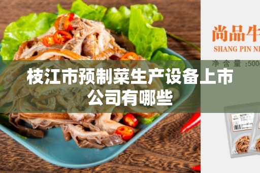 枝江市预制菜生产设备上市公司有哪些