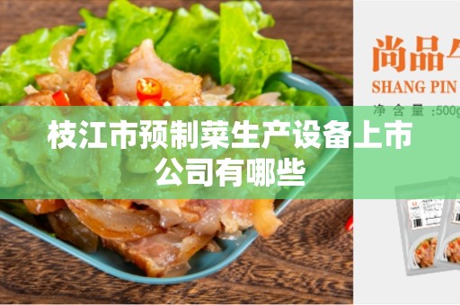枝江市预制菜生产设备上市公司有哪些