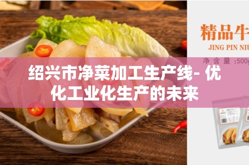 绍兴市净菜加工生产线- 优化工业化生产的未来