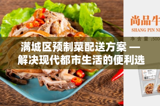 满城区预制菜配送方案 — 解决现代都市生活的便利选择