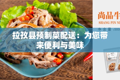 拉孜县预制菜配送：为您带来便利与美味