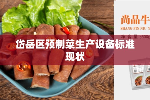 岱岳区预制菜生产设备标准现状