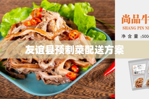 友谊县预制菜配送方案