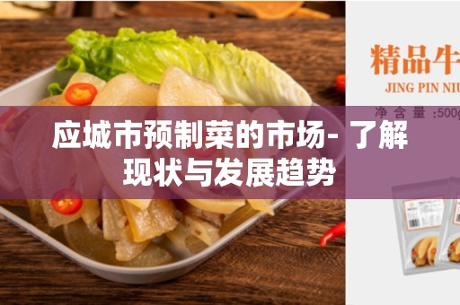 应城市预制菜的市场- 了解现状与发展趋势