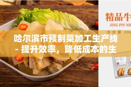 哈尔滨市预制菜加工生产线- 提升效率，降低成本的生产力工具