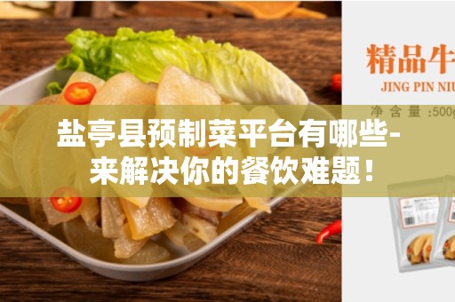 盐亭县预制菜平台有哪些- 来解决你的餐饮难题！