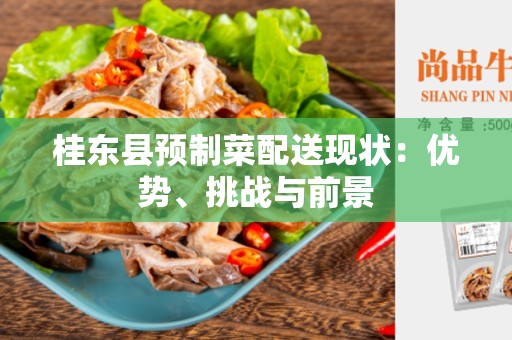 桂东县预制菜配送现状：优势、挑战与前景